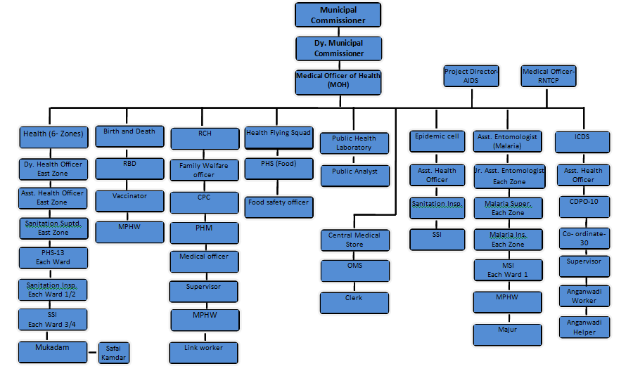 health_org_structure